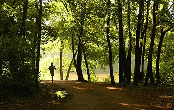 6. Обращаете ли вы внимание на окружающую обстановку?