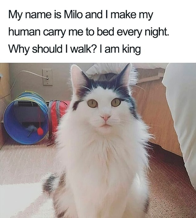 9.