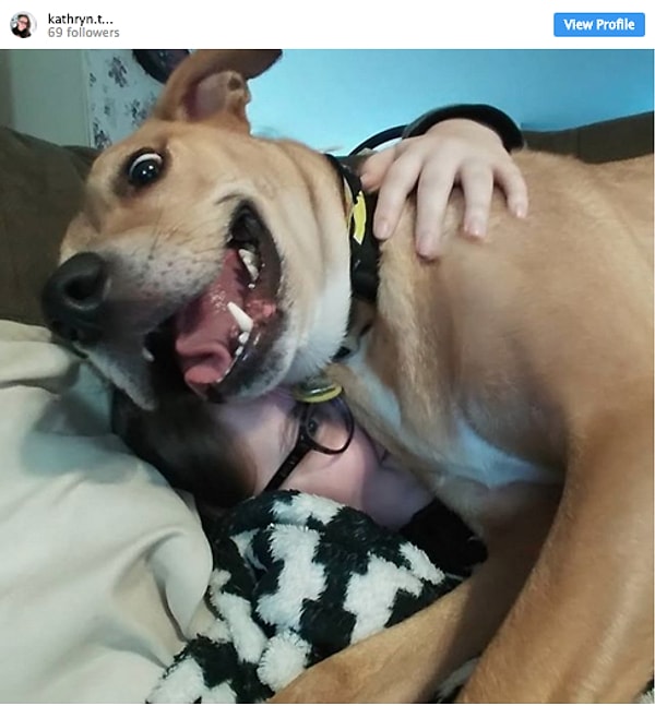 6. Я тоже хочу селфиться, хозяйка!