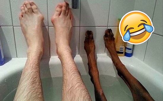 20 хвостатых и пернатых бандитов, которым плевать на ваше личное пространство