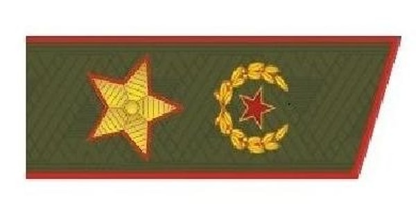 7. По этим погонам можно узнать...