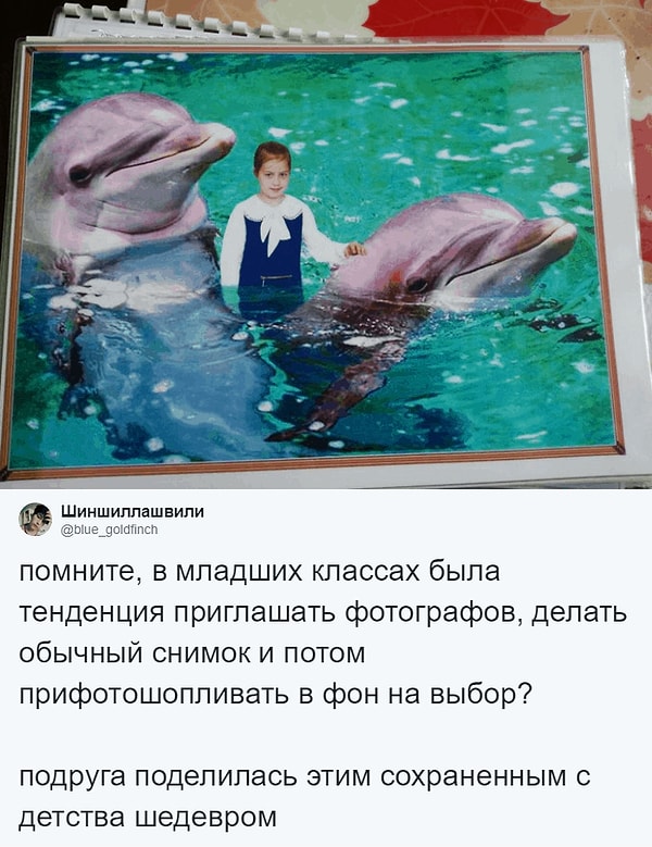 19. С гигантскими дельфинами