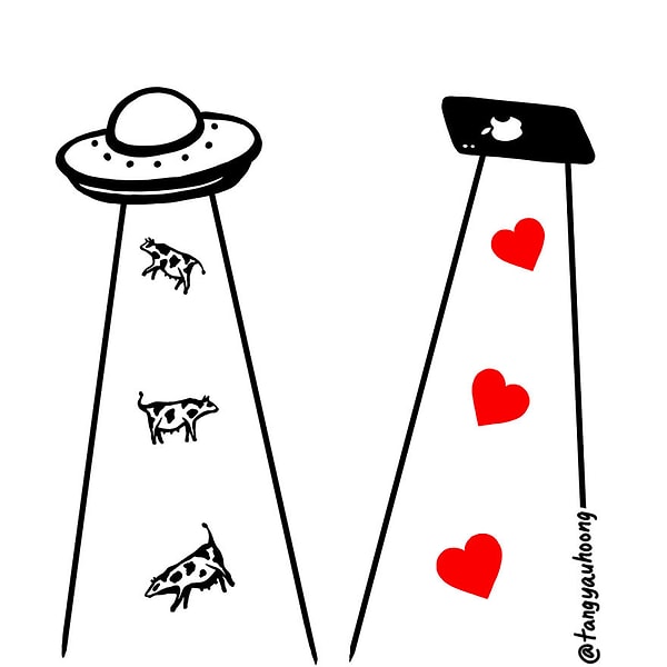 13. Похищение