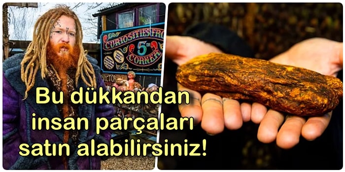 Tüylerimiz Diken Diken Oldu! Turşusu Kurulmuş İnsan Parçalarından, Hayvan Kafataslarına Kadar Birbirinden Garip Parçalar Satan Dükkan
