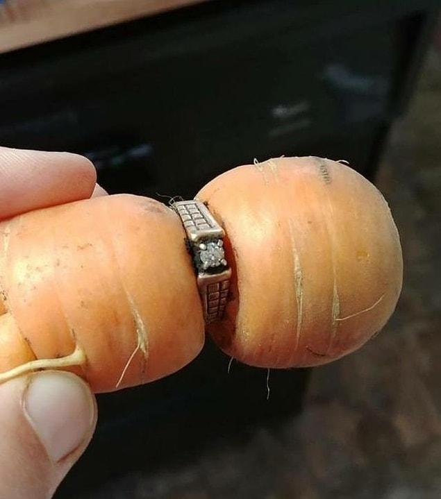 1. “My diamond ring has been missing since 2004 and turned up on a garden carrot.”