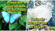 Nefesiniz Kesilecek! Niagara Şelalesi'nin Ne Kadar Eşsiz Bir Yer Olduğunun İspatı Niteliğinde 25 Bilgi