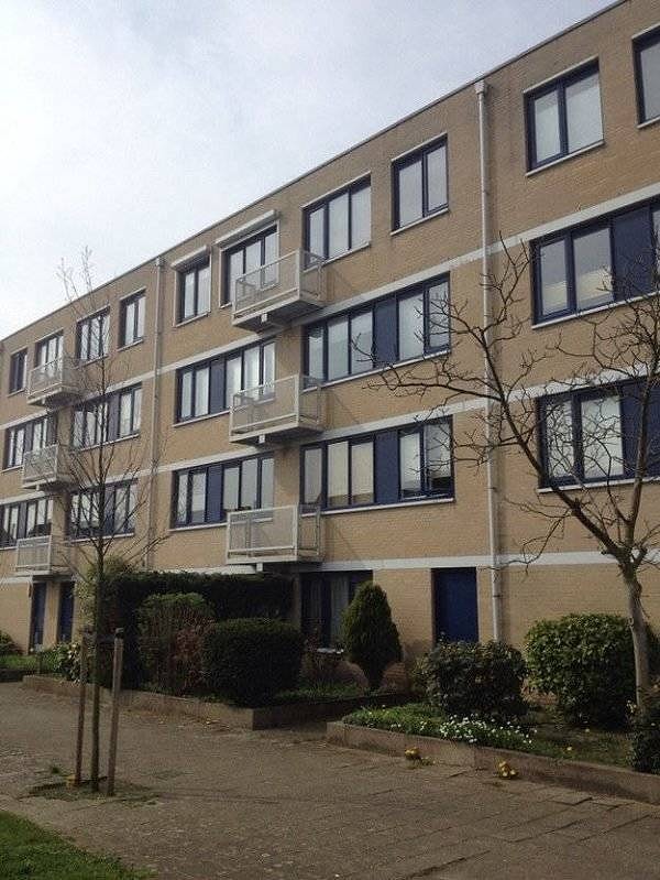 14. Каждый мужчина в своей жизни должен построить дом, воспитать сына и посадить дерево ПРЯМО ПОСЕРЕДИНЕ ТРОТУАРА!