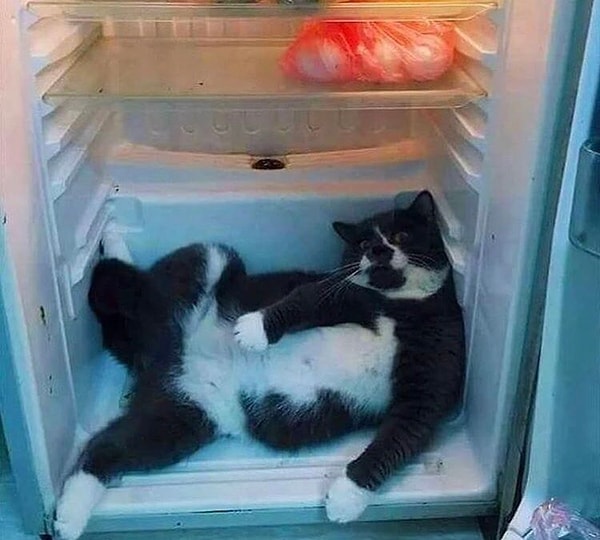 7. Yazları güzel olabilir. 😆