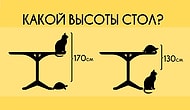 Тест: Популярная детская задачка, с которой справится не каждый взрослый. Что насчет вас?