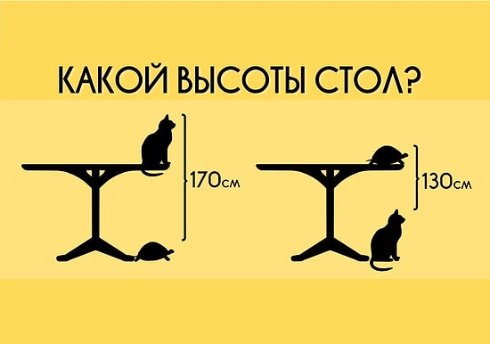 Тест: Популярная детская задачка, с которой справится не каждый взрослый. Что насчет вас?