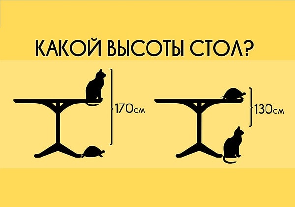 Итак, задача перед вами. Внимательно посмотрите на изображение и дайте свой ответ:
