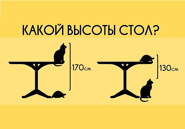 Тест: Популярная детская задачка, с которой справится не каждый взрослый. Что насчет вас?