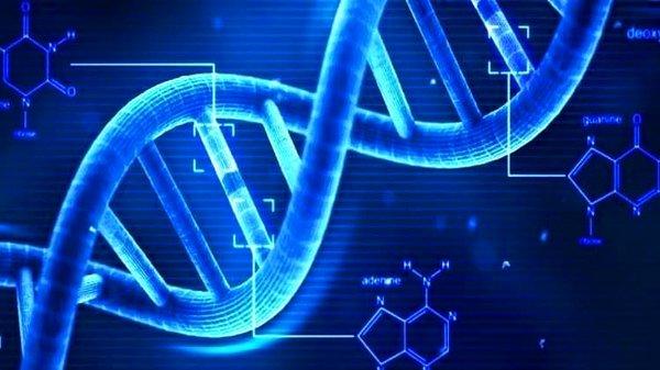 1953: Francis Crick ve James D. Watson, DNA molekülünün yapısını keşfettiler.