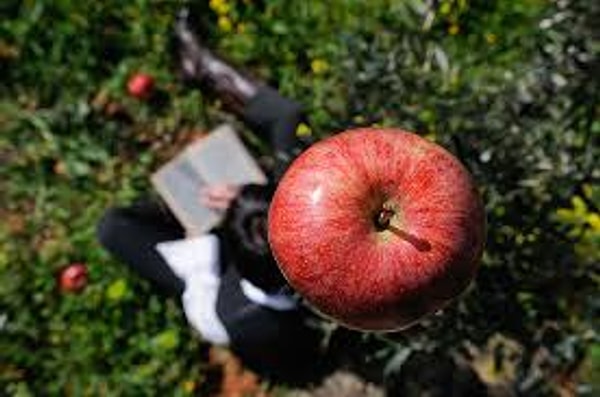 6. Одним из величайших ученых в истории, физиком, математиком, механиком и астрономом, создателем классической физики был...