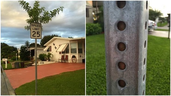 8. Как этот столб будет выглядеть через несколько лет?