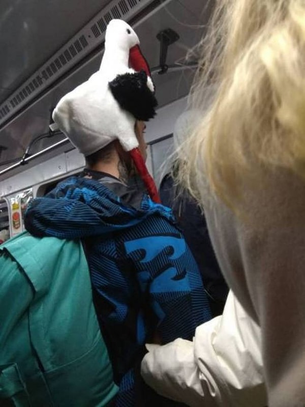 13. "Аист на крыше - мир на Земле!". Все из гуманных соображений