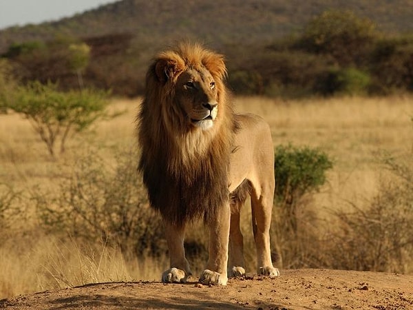 12. И последнее фото. Вы знаете, что делать!