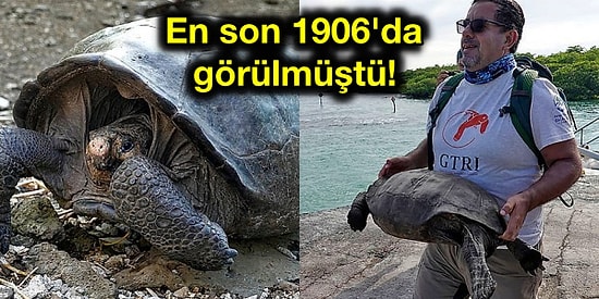 100 Yılı Aşkındır Nesli Tükendiği Düşünülen Dev Kaplumbağa Türü Galapagos Adaları'nda Bulundu!