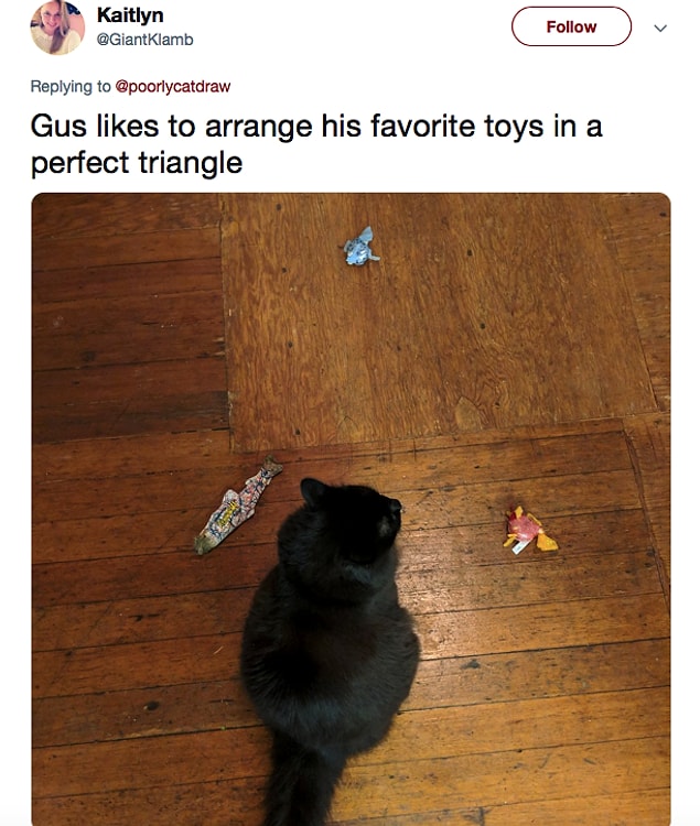 9. This cat has some suspicious behavior...