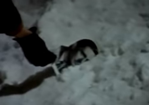 В «Иронии судьбы, или С лёгким паром!» падает снимок с Юрием Яковлевым, а Надя поднимает фотографию с Олегом Басилашвили.