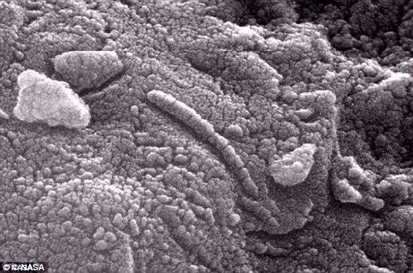 Fosilleşmiş Mars mikropları, 1996'da NASA ve Beyaz Saray'ın açıklaması ile tüm dünyayı çalkalamıştı.
