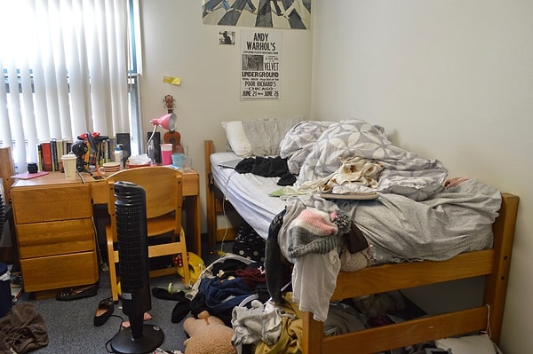 О вот и мистер/миссис Хаос!