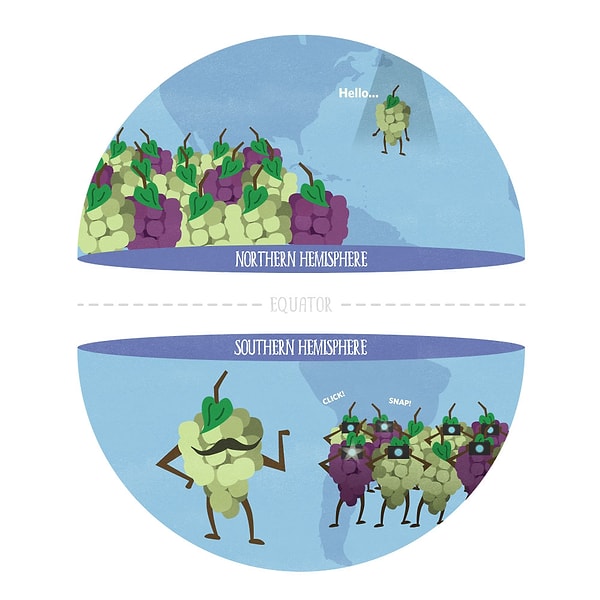 5. Какая из этих народностей проживает в южном полушарии?