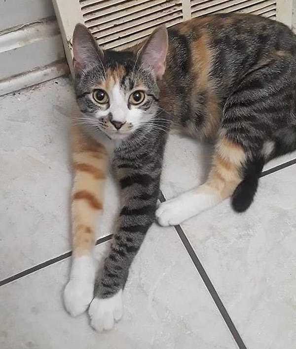 15. Когда краска закончилась