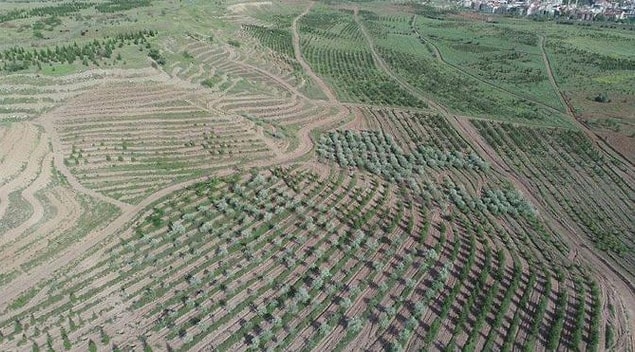 Candan, AOÇ arazisinin 781 bin metrekaresinde daha plan değişiklikleri ve kiralama yapıldığını, inşaat alanlarıyla birlikte bunun bir milyon metrekareyi bulduğunu belirtti.