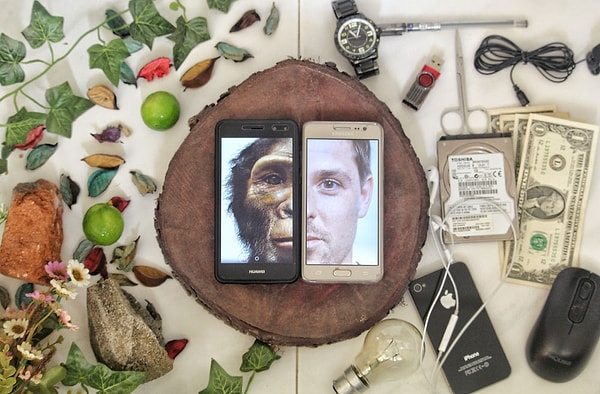 21. Путь эволюции