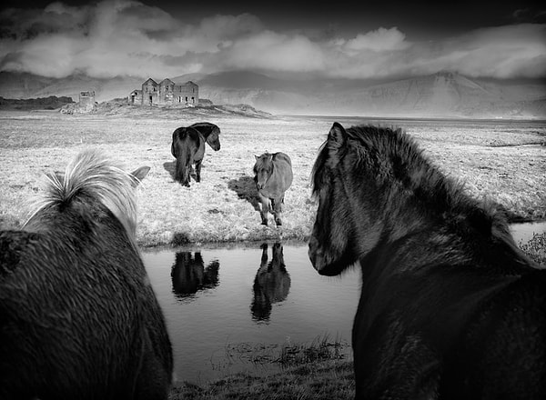 42. Следуй за нами