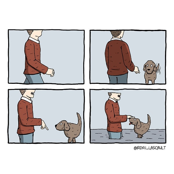 15. Это как посмотреть :)