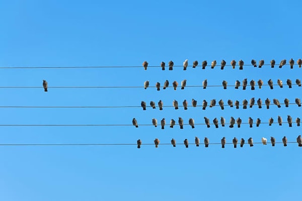 3. Какое слово описывает вас лучше остальных?