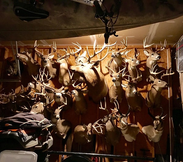 46. Главное преимущество этого дома - загородный колорит.