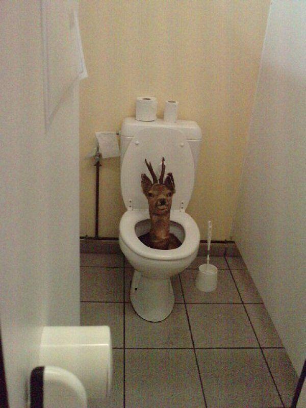 7. Эй, парень, тебе там удобно?