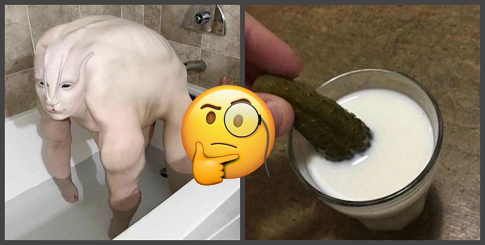 Фотографии, глядя на которые хочется спросить: "Что тут происходит вообще?"