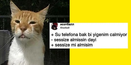 Yüzümüzü, Gözümüzü, Her Yerimizi Kalp Yapacak Tatlılıkta Hayvanlarla İlgili Komik Paylaşımlar