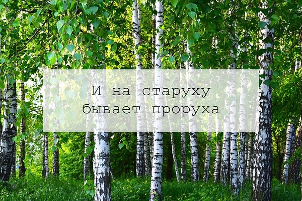 3. В какой ситуации используют вот такую поговорку: