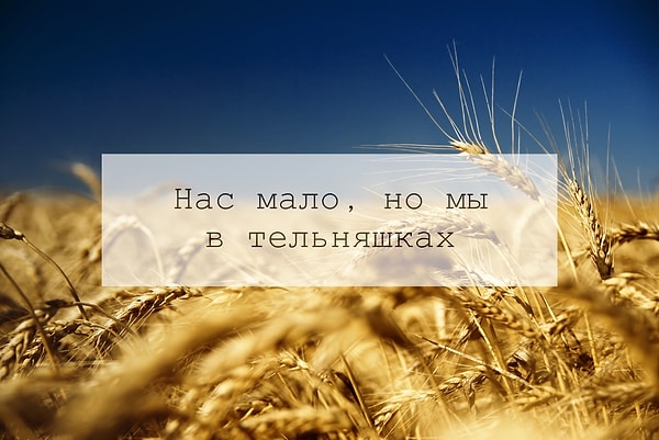 10. Ну-ка, ну-ка...