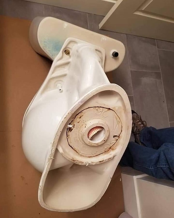 24. «Мне сказали, что унитаз плохо смывался»