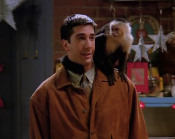 3. Как звали обезьянку из сериала?