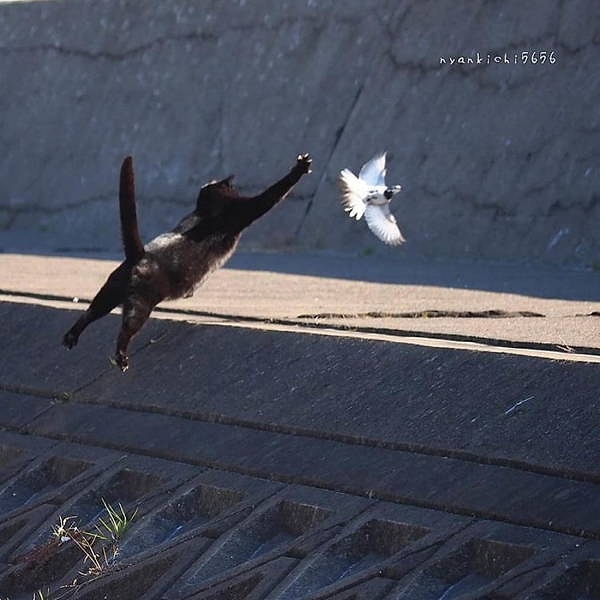 8. Ням-ням-ням-ням, да и шмыг-шмыг-шмыг-шмыг!