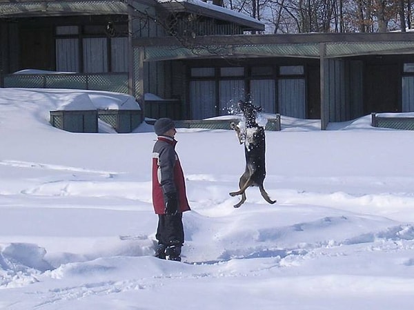 13. Щенячья радость