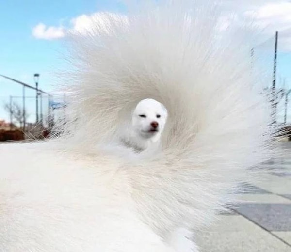 54. Больше, больше гламура!