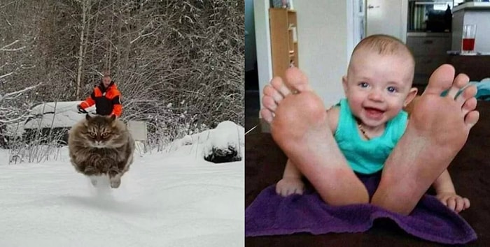 Снимки, о которых можно сказать, что они сделаны в нужном месте в нужное время