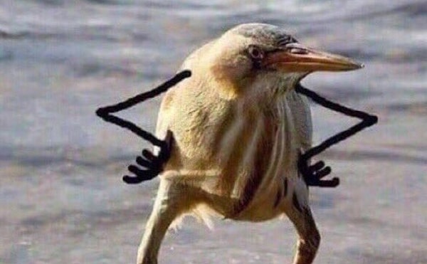 10. Сколько раз встречается цифра 4 в числах от 39 до 50?