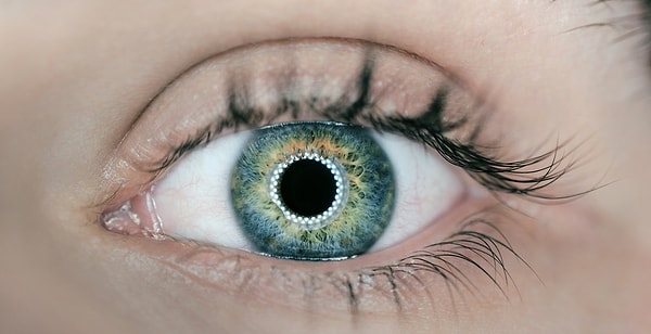 4. В своих глазах я: