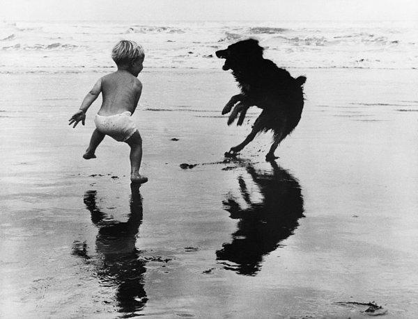 9. Köpeğiyle sahilde oynayan çocuk, Yeni Zelanda.