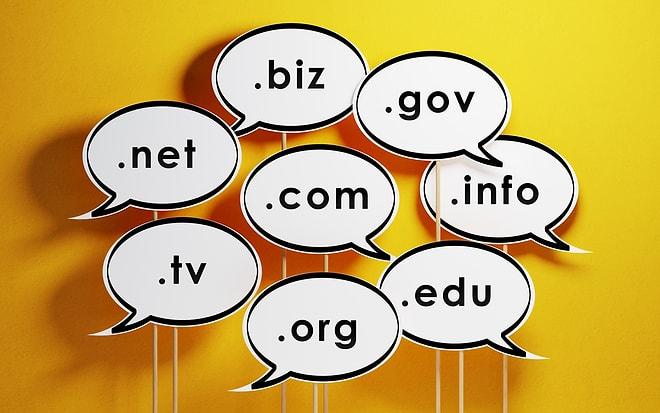 Domain Sorgulama ve Domain Almak İsteyenlerin Bilmesi Gereken 11 Şey