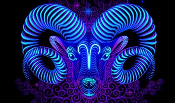 Овен ведет себя спокойно